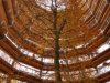 Das Innere des "Adlerhorsts" im Baumwipfelpfad des Naturerbe Zentrums Rgen